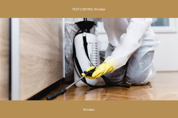 PEST CONTROL Windsor